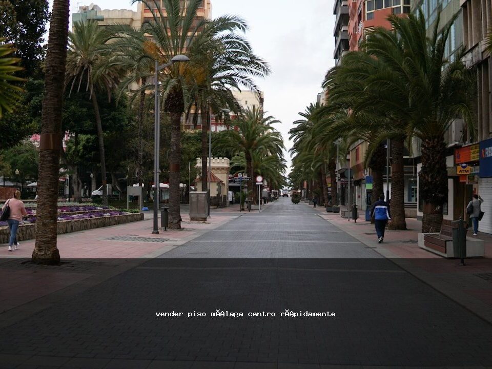 vender piso málaga centro rápidamente