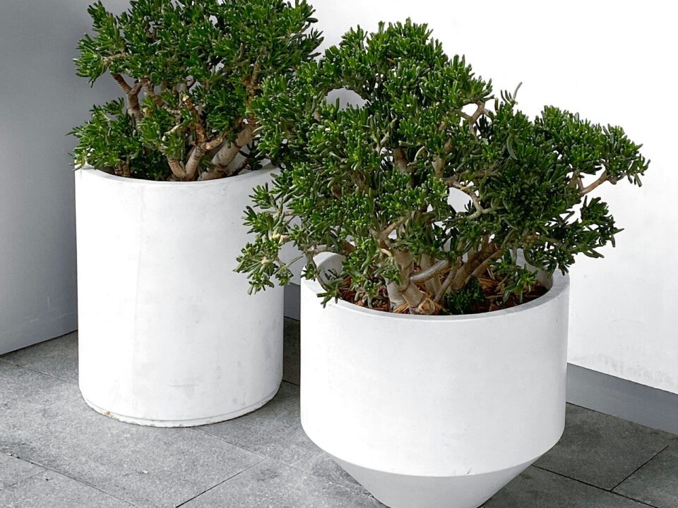 Vista panoramica de Estepona, Costa del Sol, casas blancas y mar Mediterraneo